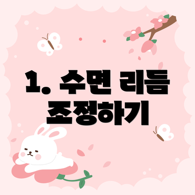 1. 수면 리듬 조정하기