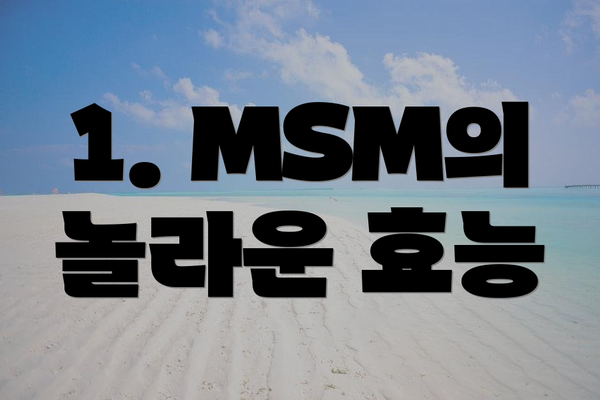 1. MSM의 놀라운 효능