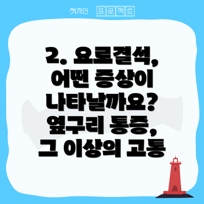 2. 요로결석, 어떤 증상이 나타날까요? 옆구리 통증, 그 이상의 고통