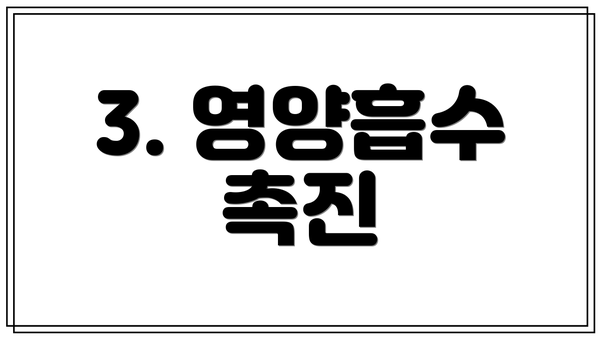 3. 영양흡수 촉진