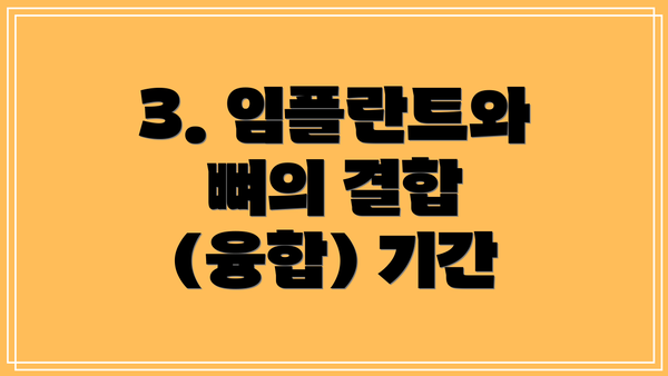 3. 임플란트와 뼈의 결합 (융합) 기간