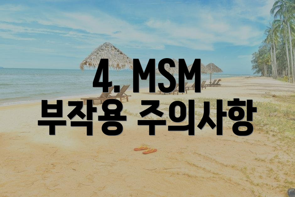 4. MSM 부작용 주의사항