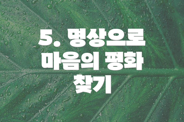 5. 명상으로 마음의 평화 찾기