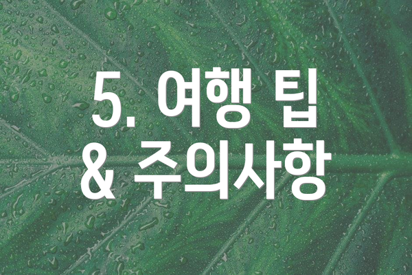 5. 여행 팁 & 주의사항