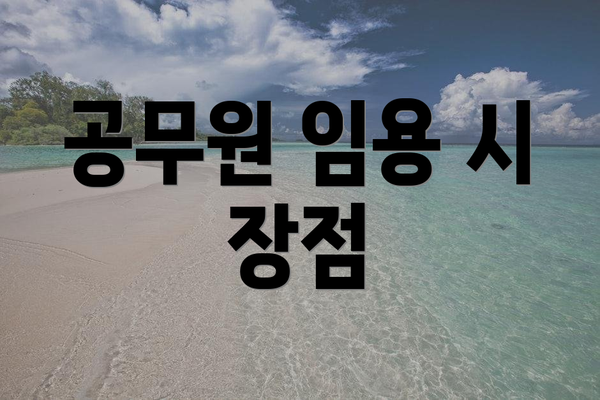 공무원 임용 시 장점