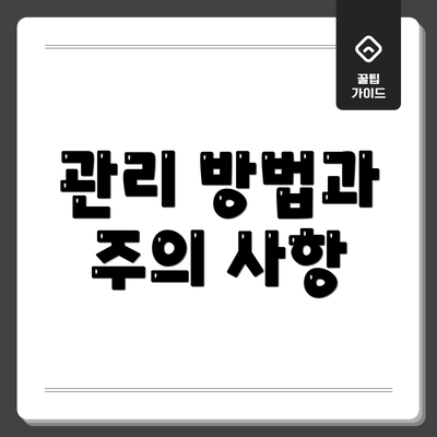 관리 방법과 주의 사항
