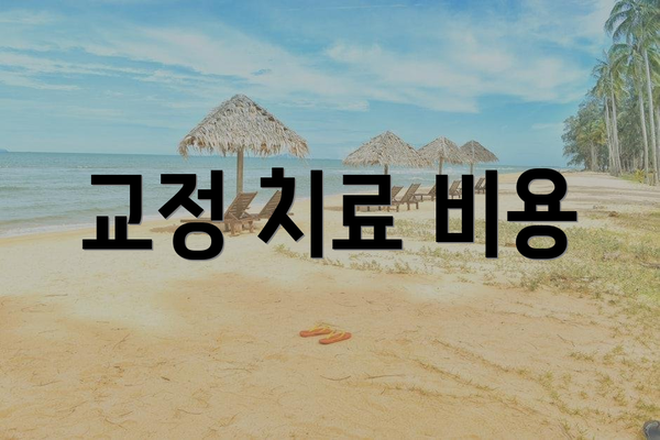 교정 치료 비용