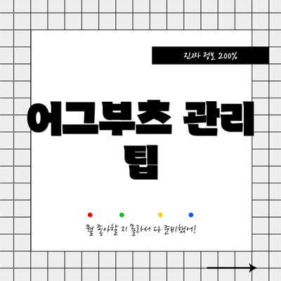 어그부츠 관리 팁