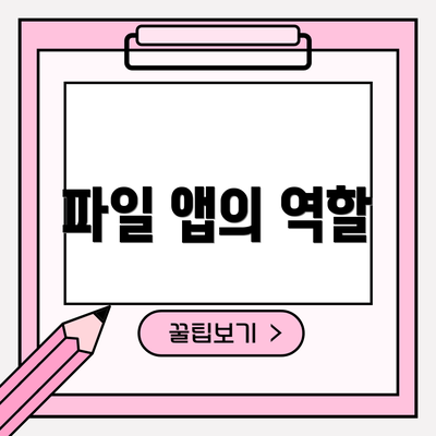 파일 앱의 역할