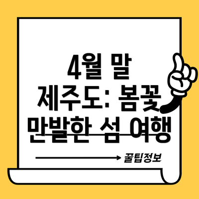 4월 말 제주도: 봄꽃 만발한 섬 여행