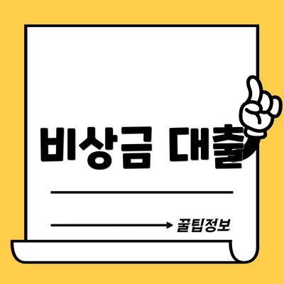 비상금 대출