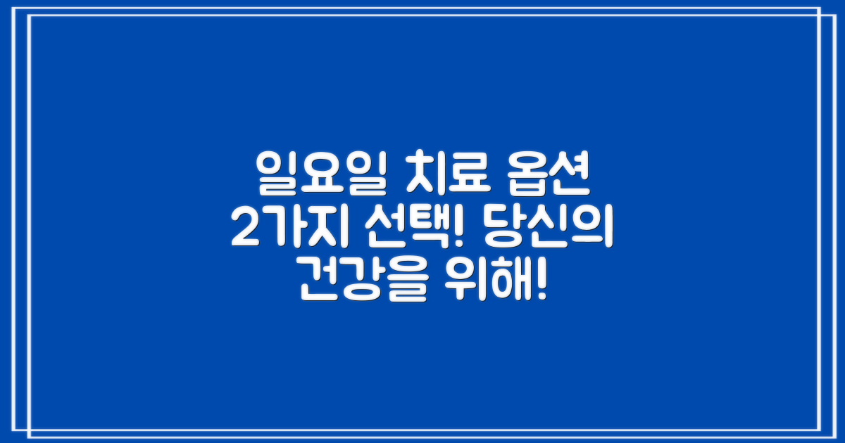 2가지 일요일 진료 옵션