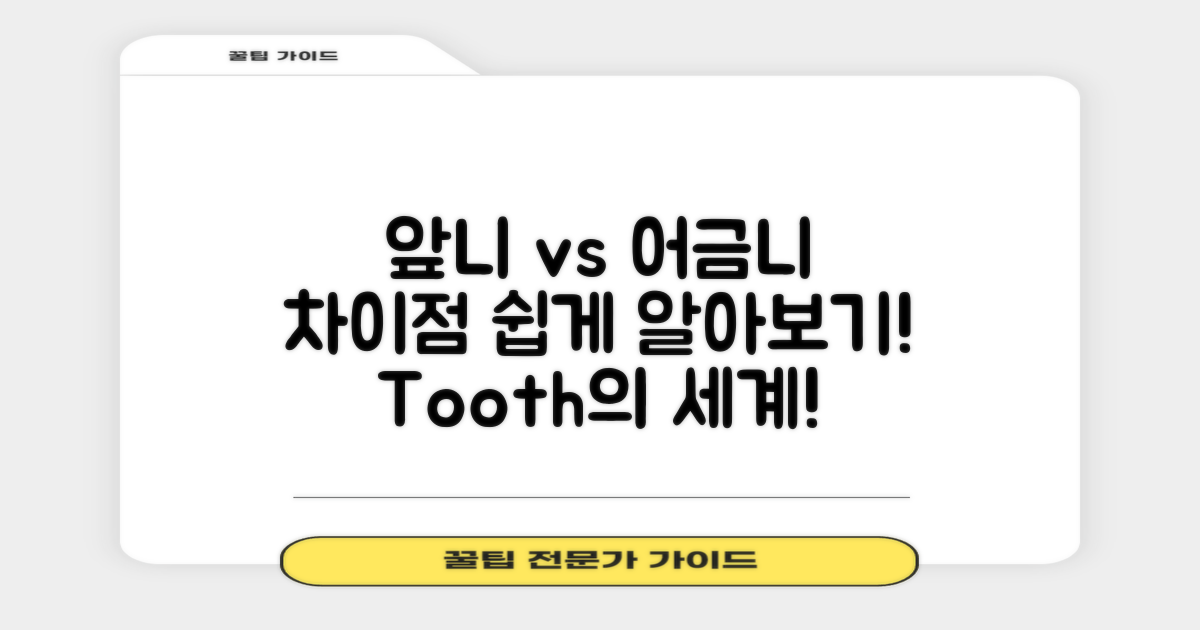 앞니와 어금니 차이점