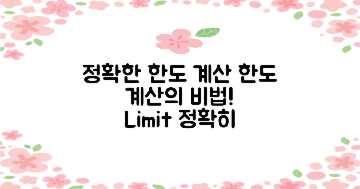 한도를 정확히 계산하세요