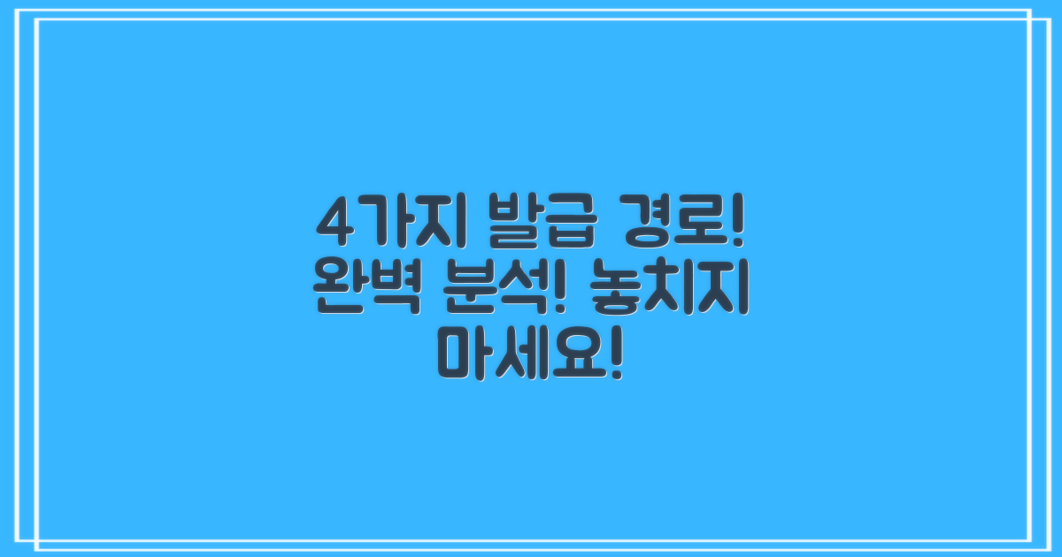 4가지 발급 경로 상세 설명