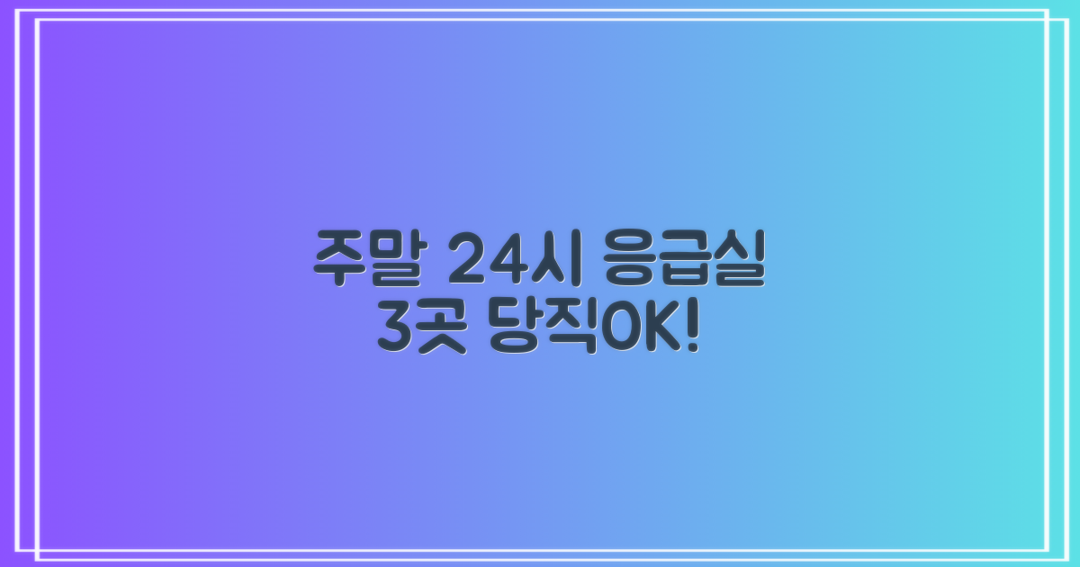 주말 24시간 3곳 응급실 운영